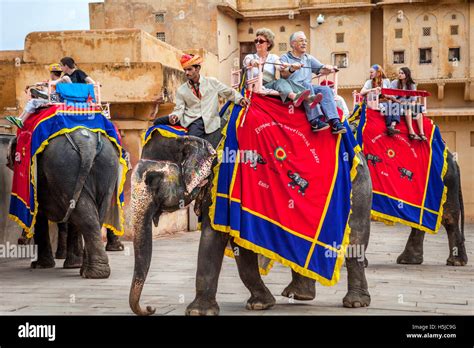 Tourists Enjoying Elephant Ride In Amer Fort Rajasthan India Stock