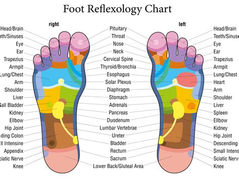Foot Reflexology Off 78