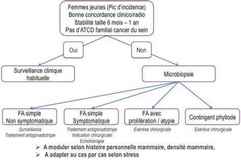 Fibroadénome Mammaire Une Pathologie Sous Estimée Gynéco Online