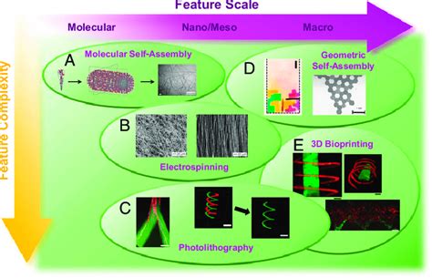 The Toolbox Of Biomaterials Processing Techniques That Enable Formation