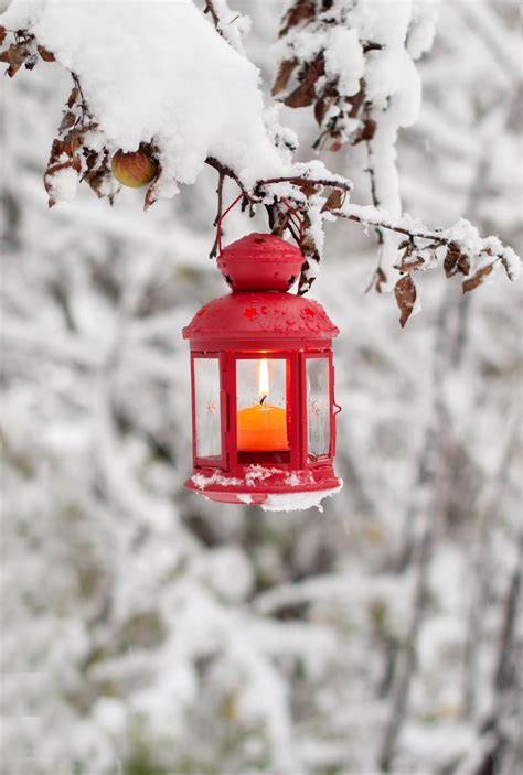 Winter Red Lantern With A Candle Attached To The Tree Covered With