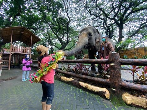 Rekomendasi Tempat Wisata Di Surabaya Untuk Keluarga Tempatnya