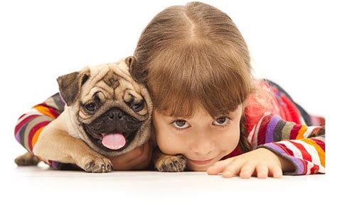 Health Benefits Of Kids Having A Pet When Growing Up Nymetroparents