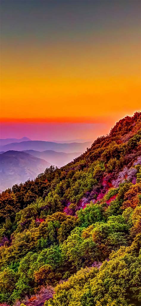 Download Mountain Colorful Forest Nature Sunset Scenery Ultra