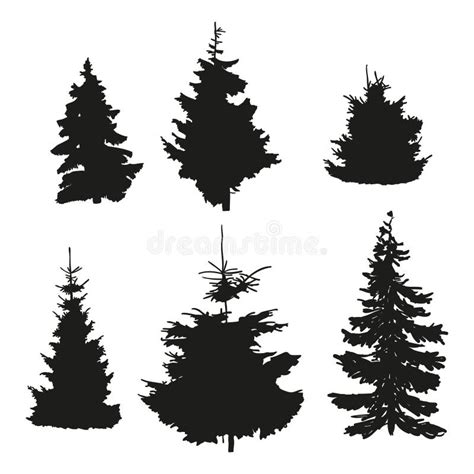Vector Silhouettes Of Different Spruce Trees Stock Vector