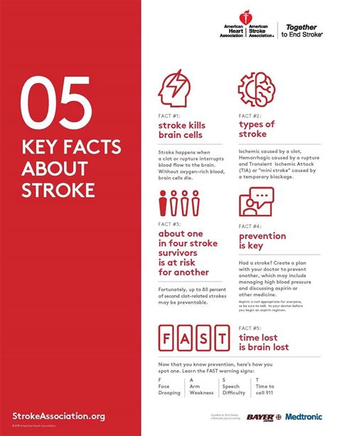 5 Fast Facts About Stroke Infographic By Aha Infographics