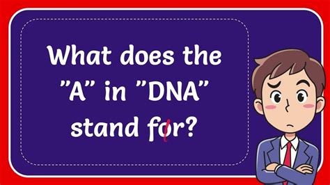 What Does The A In Dna Stand For Answer Youtube