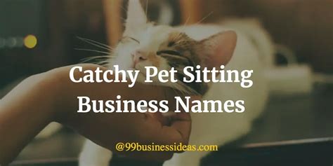 Catchy 500 Pet Sitting Business Names And Names Ideas