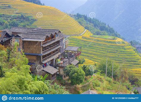 Longji Rice Terraces In Guangxi Province China Editorial Stock Image