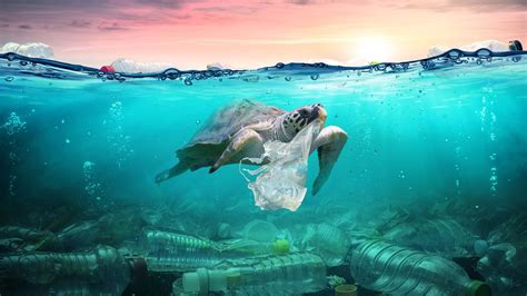 100 Plastic In The Ocean Statistics And Facts 2020 2021