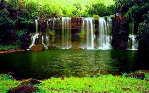 Waterfall In The Thick Green Forest River Pond Weed Hd Wallpapers For