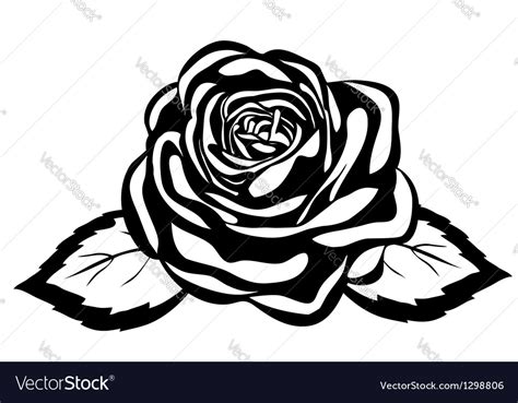 Abstract Black And White Rose Royalty Free Vector Image