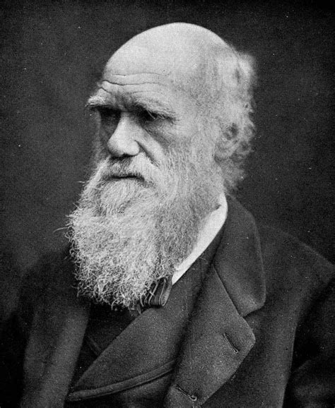Teoria De Darwin