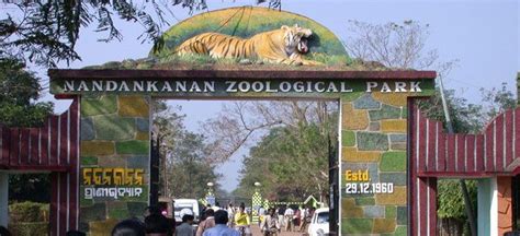Odishas Nandankanan Zoo To Remain Open On Christmas And New Year