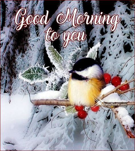 Good Morning To You Bird Morning Winter Quotes Beautiful Good Morning