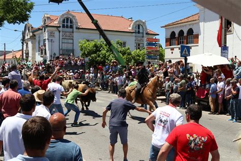 Município Da Chamusca Vai Transmitir Semana Da Ascensão No Youtube E Apela à Subscrição Do Seu Canal