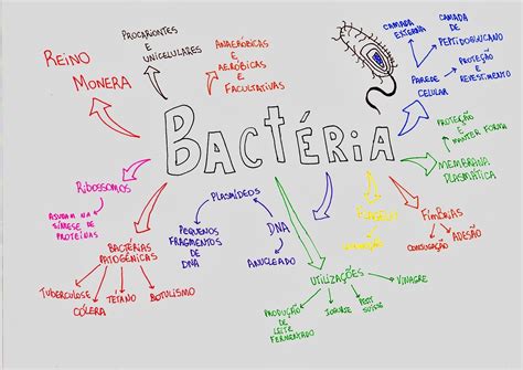 Mapa Mental De Bacterias Edulearn