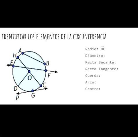 Solved Identificar Los Elementos De La Circunferencia Radio Diametro Н E В Recta Secartes