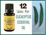 Pictures of Eucalyptus Oil