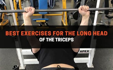 11 Best Long Head Tricep Exercises For Strength And Size