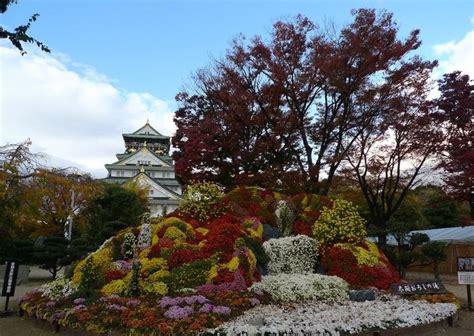 Посмотреть все 4 087 фото. Osaka Castle Park - Osaka - Japan Travel