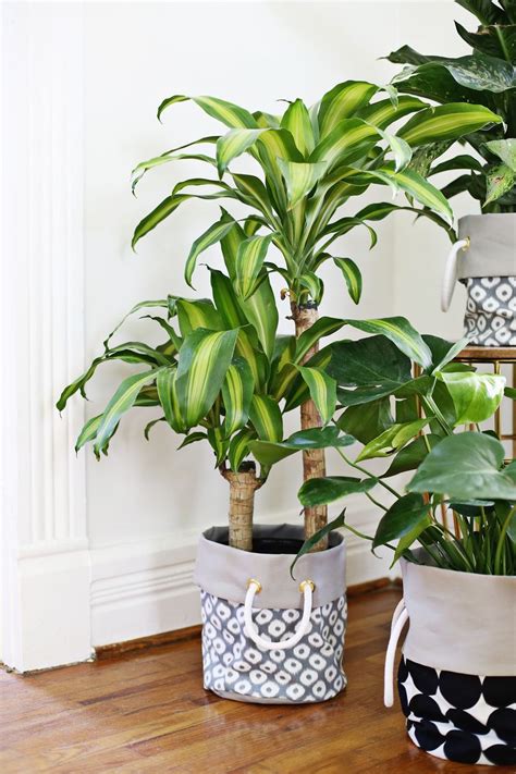 Fabric Planter DIY – A Beautiful Mess
