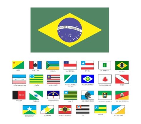1 Bandeira Estado Brasileiro Brasil Tenho Todos 27 Estados R 19700