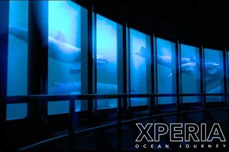 Xperia: Ocean Journey