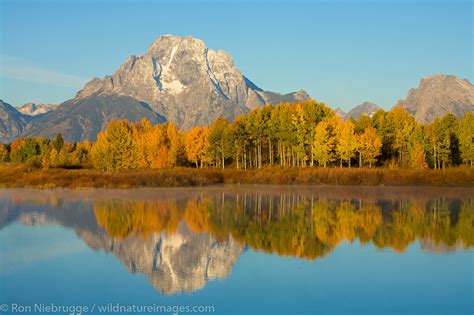 Mount Moran From Oxbow Bend Grand Teton National Park Wyoming