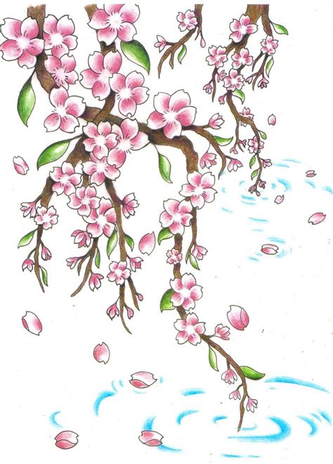 17 Best Images About Cherry Blossom Drawing Tattoo Idea On Pinterest