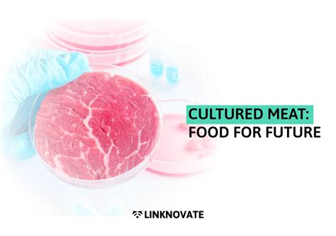 Cultured Meat Food For Future Linknovate Stories