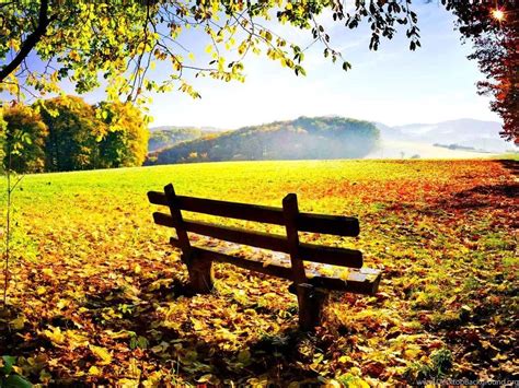 Peaceful Autumn Day Wallpapers Desktop Background