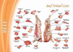 Printable Cuts Of Beef Diagrams 101 Diagrams