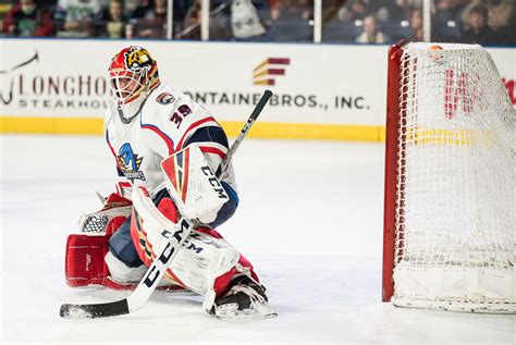 Panthers, T-Birds Announce Roster Moves | Springfield Thunderbirds