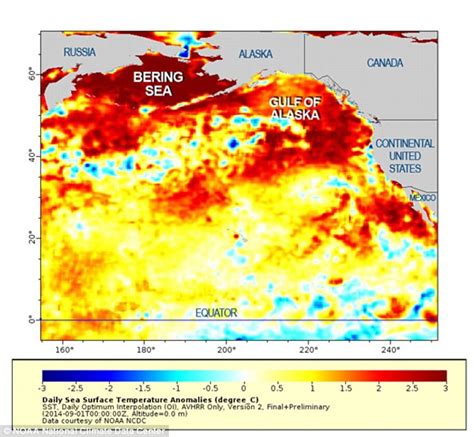 Mystery Blob In The Pacific Ocean Could Be Causing Californias Mega