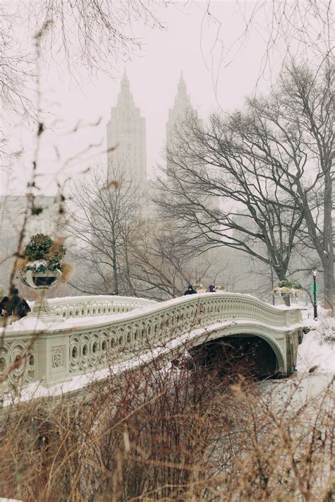 New York Snow Storm Central Park Michael Arntz