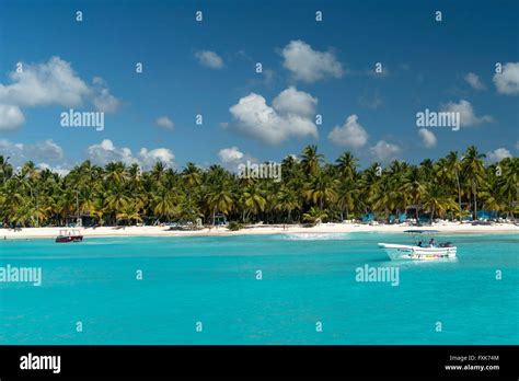 Dream Beach Sandy Beach With Palm Trees And Turquoise Sea Parque