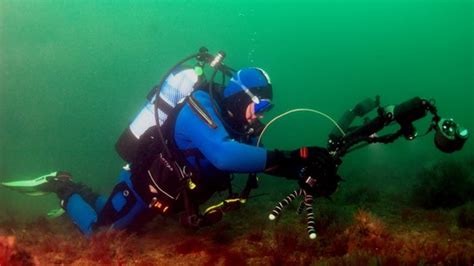 Arran Diver Wins Prestigious Environmental Award Bbc News