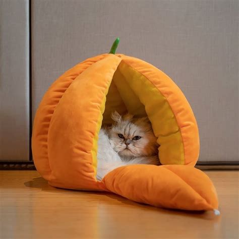 A Cat Is Hiding In A Pumpkin Shaped Bed