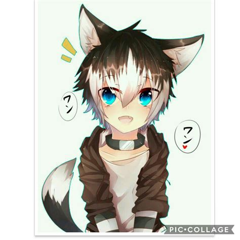 Wefalling Cute Anime Boy With Wolf Ears And Tail