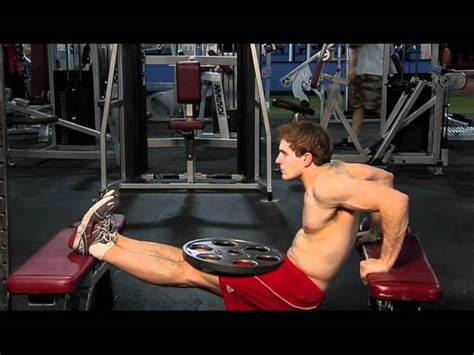 Bench Dip Triceps Exercise Guides And Videos Fitness Volt