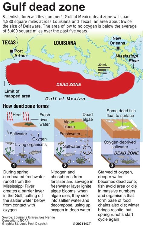 Forecast Of Smaller Gulf Of Mexico Dead Zone Still Threatens Fishing