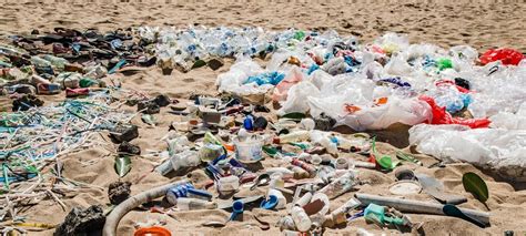 ‘microplastics Microbeads And Single Use Plastics Poisoning Sea Life