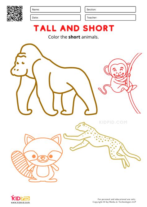 Tall And Short Worksheets For Preschool Free Printables Kidpid