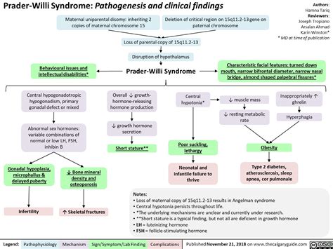 Prader Willi Syndrome Pathogenesis And Clinical Findings Calgary Guide
