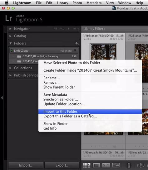 How to fix an overexposed photo in lightroom. Quick Folder Organizing Hacks in Adobe Lightroom