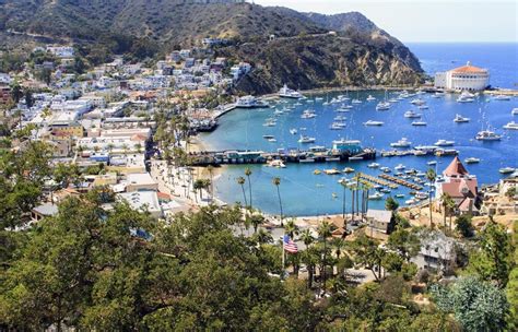 Visit Santa Catalina Island On Your Next Weekend Getaway Antonia