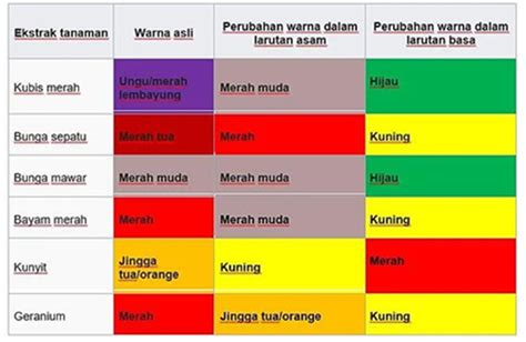 Tips Dan Cara Menggunakan Indikator Alami Sebagai Indikator Asam Basa