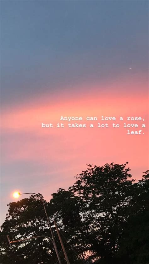 ️im ️ Sky Quotes Instagram Quotes Captions Sunset Quotes
