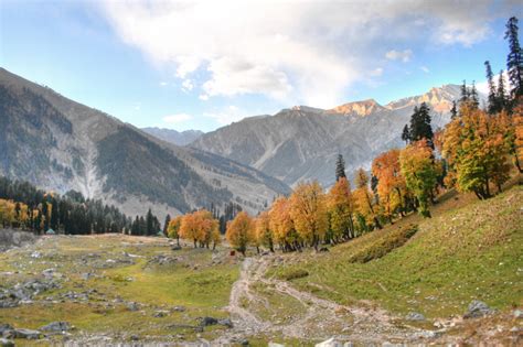 District environmental plan 2021 srinagar. How do we address the Kashmir crisis? | Conciliation Resources